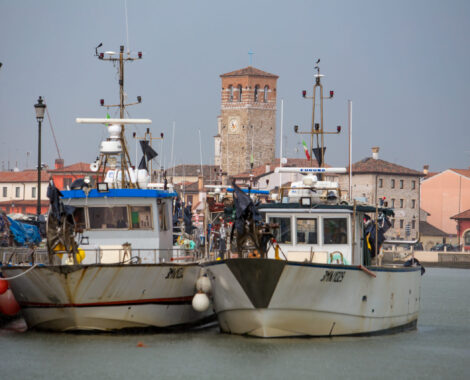 IMG_2873 IMG_2873